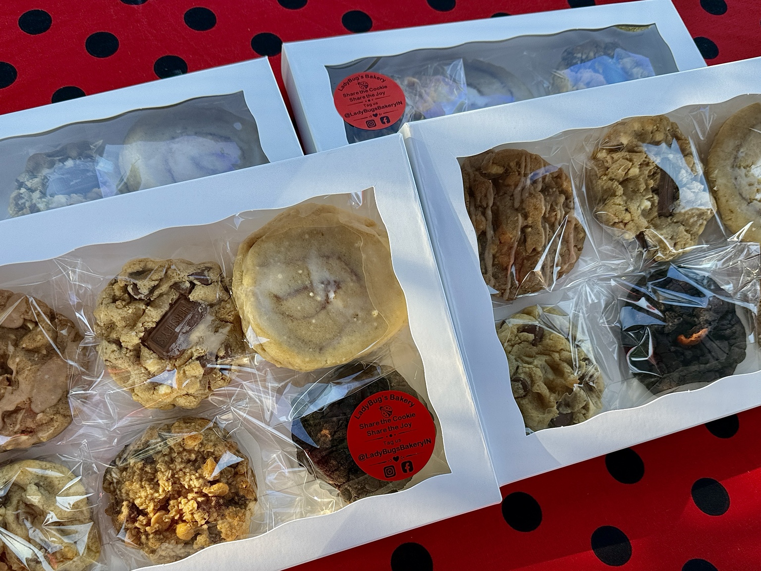 LadyBug Flight window boxes containing individually wrapped cookies, with red LadyBug’s Bakery stickers on a red polka-dot tablecloth